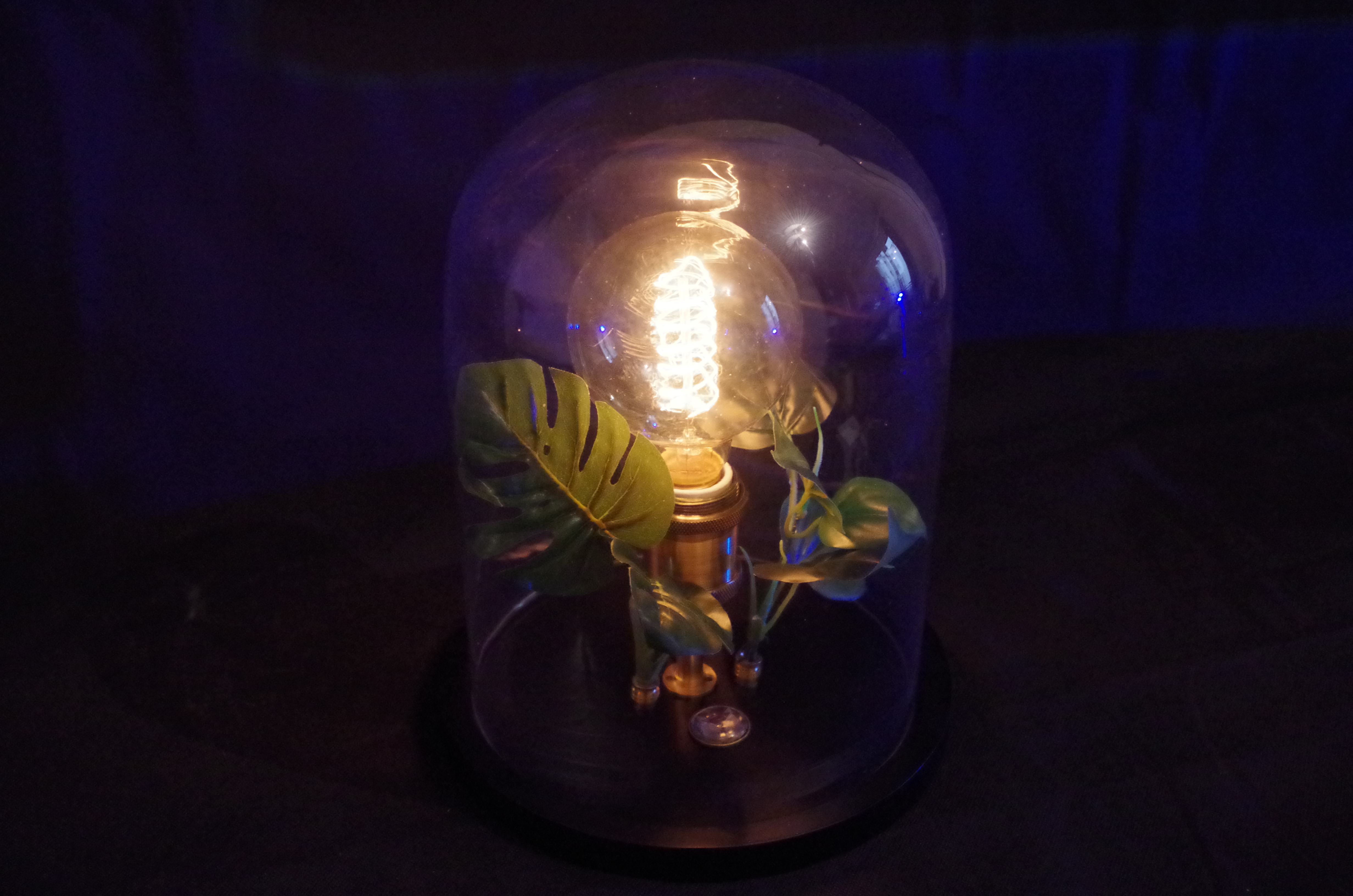 Vibe Capsule 1 detail view